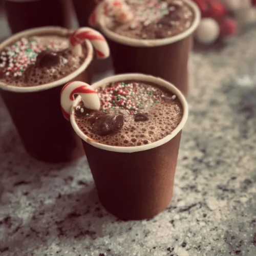 Delicious chocolate hot cups served in a cozy setting with whipped cream.