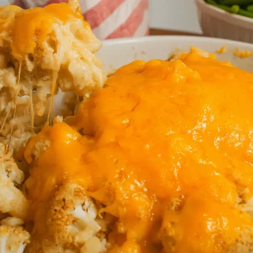 Various dinner recipes for family of 4, displayed on a kitchen counter.