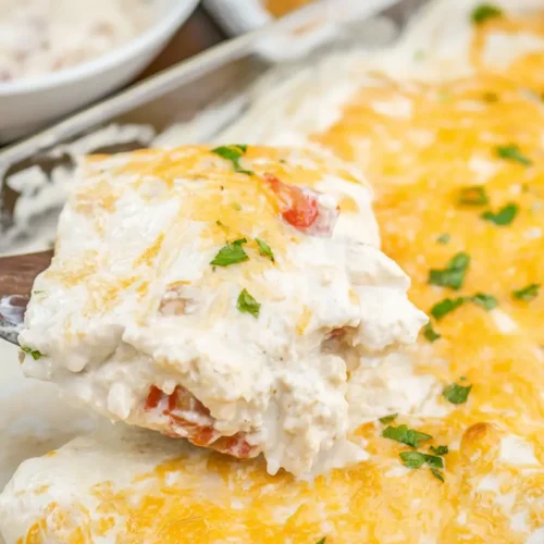 A baking dish filled with creamy white chicken enchiladas, topped with melted cheese and fresh cilantro.