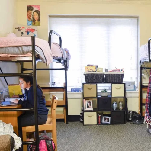A collection of college dorm room essentials neatly organized for a student.