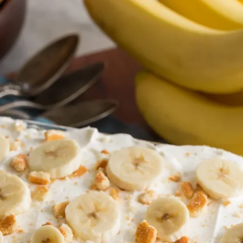 A serving of delicious banana pudding with wafers and sliced bananas